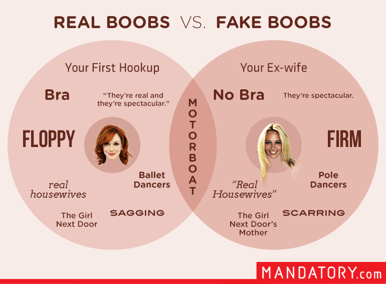 Mandatory.com on X: Here is a boob-shaped venn diagram about boobs. (We  have college degrees.)   / X