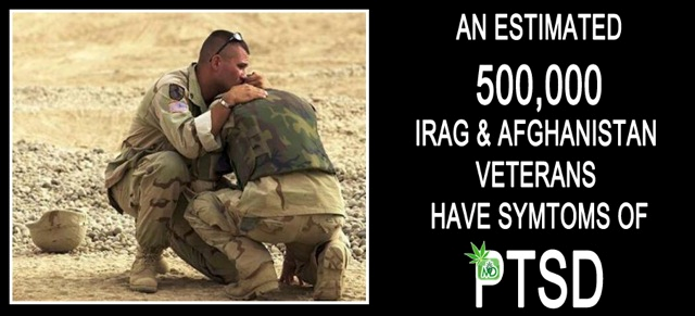 lets_legalizeit's tweet photo. Numerous studies have proven marijuana to treat PTSD #LegalizeIt http://t.co/Tvwf1PmtN0