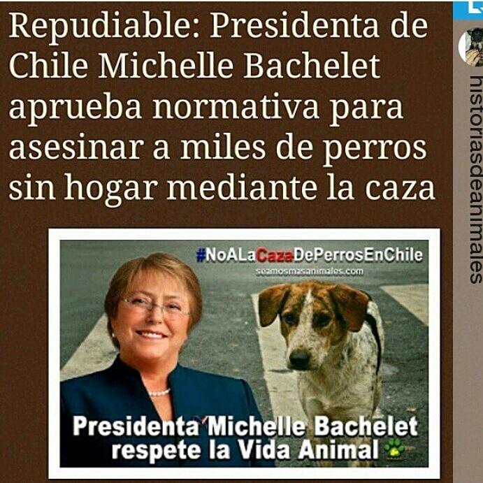 LaidelynM's tweet photo. @PrensaMichelle @GobiernodeChile q locura es esta? Aprendan a respetar la vida d un ser vivo. http://t.co/y13aN6eMyb