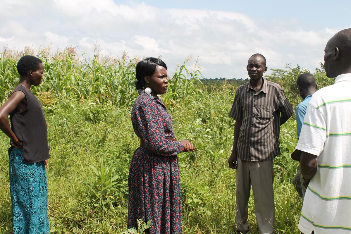 kdenyok's tweet image. we help the war survivors in man ways to get back their life through life skill training visit wrdifoundation.org