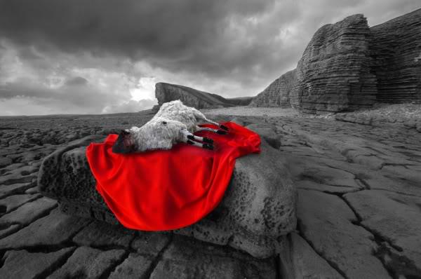 WE ARE ALL THE SACRIFICIAL LAMB