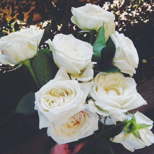 lusthmy's tweet photo. @actjsuk slr yap, nih/? #RYLBIASDAY http://t.co/MRXig5cJs3