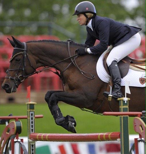wallflowereq's tweet photo. Easy, Beezie, beautiful, equitation http://t.co/Nam6AkTEoz