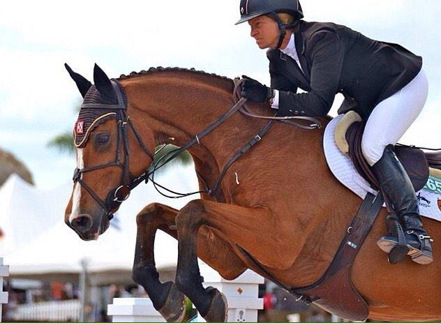 wallflowereq's tweet photo. Easy, Beezie, beautiful, equitation http://t.co/Nam6AkTEoz