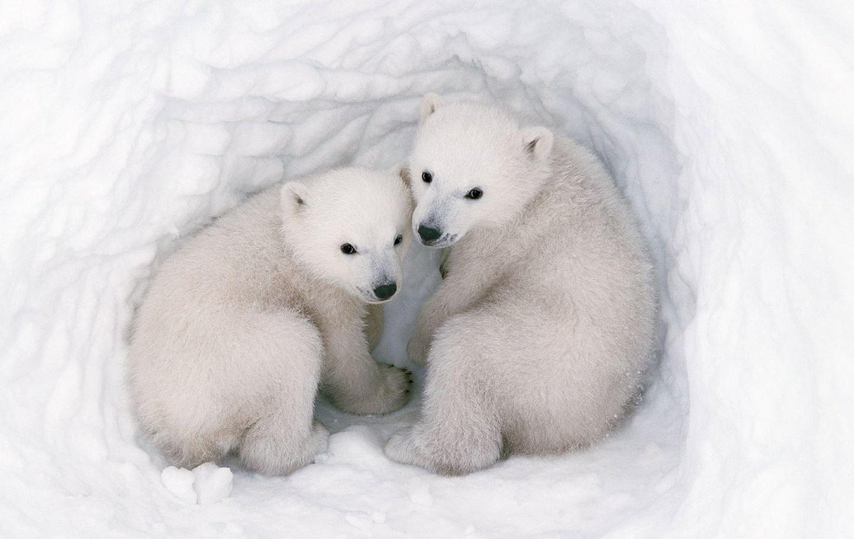 So cold, yet so warm!