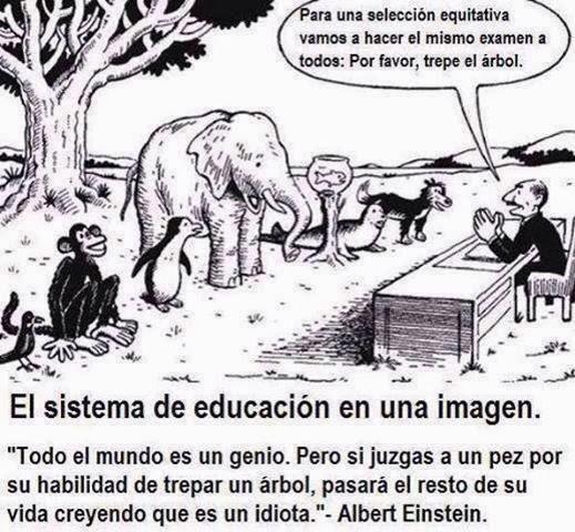 rgalar's tweet photo. #Einstein #educacion #humor #animales http://t.co/ELriuUe1uz