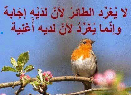star2000s2040's tweet photo. http://t.co/h4N4goFzvo