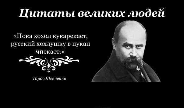 шевченко об украинцах. шевченко стихотворение хохлы 1851. цитаты про хохлов. тарас шевченко о хохлах стихотворение. шевченко тарас хохлы 1851.