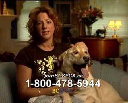    I am Sarah mclachlan pls donate $1 so we can wish our dogs a happy bday on time 