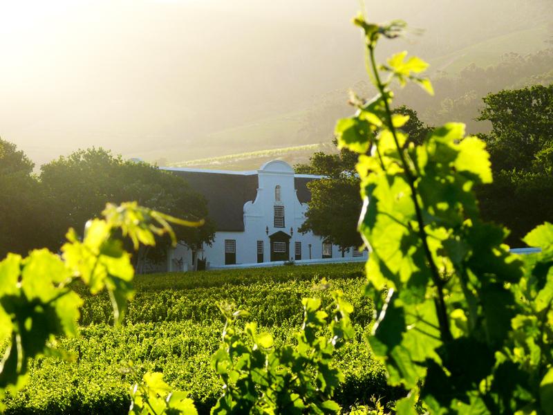 Groot Constantia (@grootconstantia) on Twitter photo Relax and enjoy our breath taking views, atmosphere and surroundings with good wine and food #330GrootConstanita Relax and enjoy our breath taking views, atmosphere and surroundings with good wine and food #330GrootConstanita