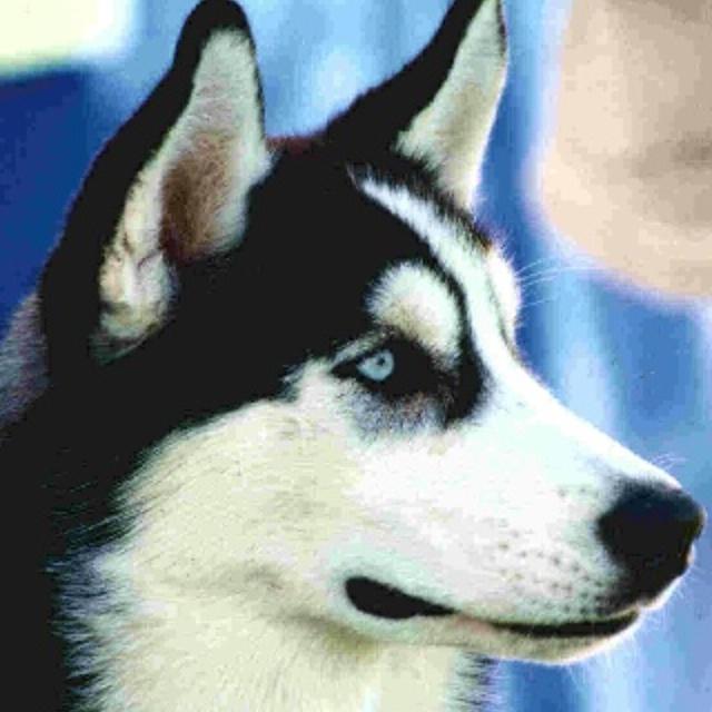 bieyed's tweet photo. http://t.co/QyGDUyhuea