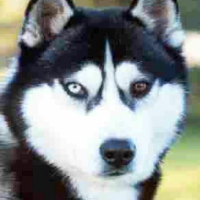 bieyed's tweet photo. http://t.co/QyGDUyhuea