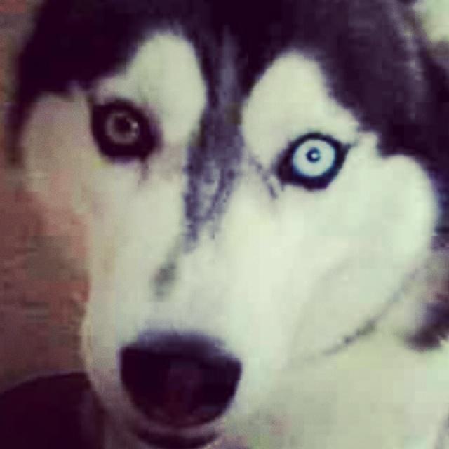 bieyed's tweet photo. http://t.co/QyGDUyhuea