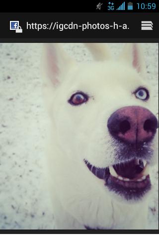 bieyed's tweet photo. http://t.co/6McseQlPvv