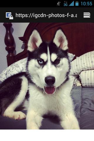 bieyed's tweet photo. http://t.co/6McseQlPvv