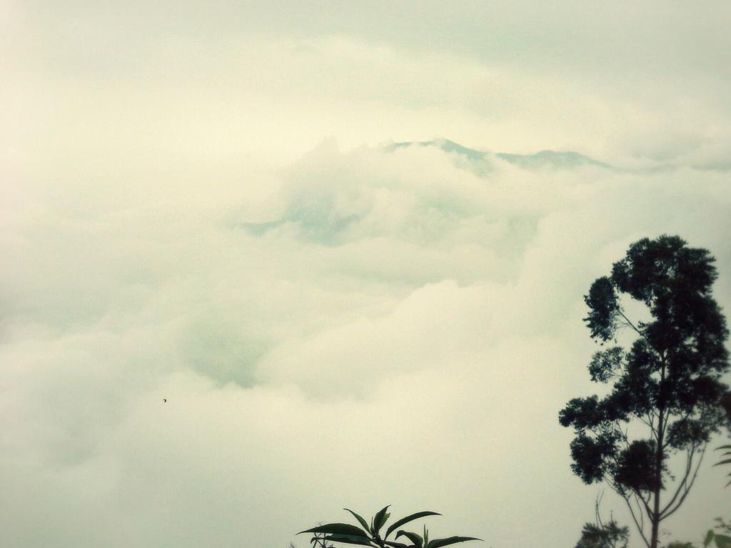 vinaydhurwe's tweet image. As we grow older we start to realise what we need and what to leave behind
 #feelingwiser #life #newstart  #happy