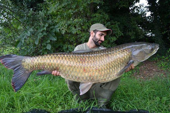 Stephen John Green tweet media