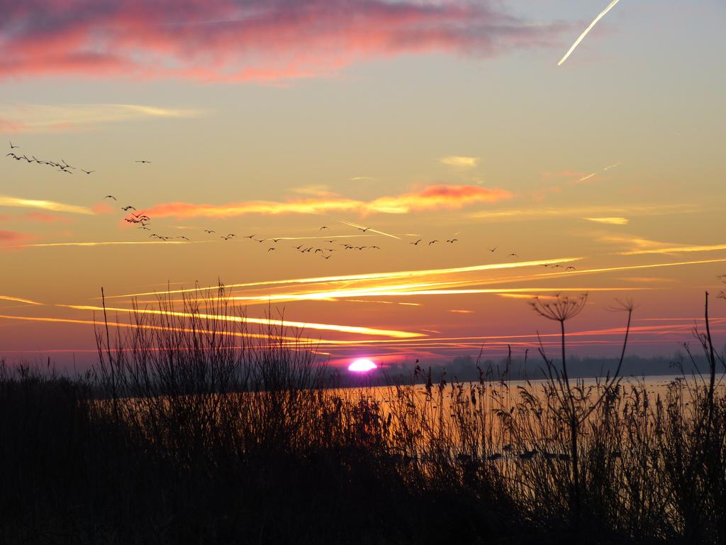 De dag is prachtig begonnen