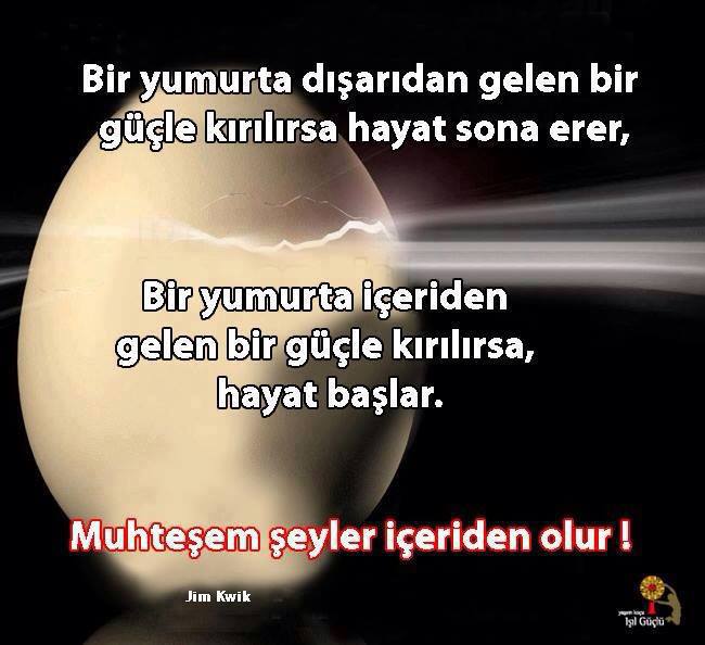 Zekâları yenen güç,
silah değil ruhun büyüklüğüdür.
(Spinoza)