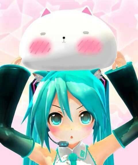 ItsHatsuneMiku_'s tweet photo. Otaku-San Follow me ♡ #MikuChan01bot http://t.co/S5omsBuEl9