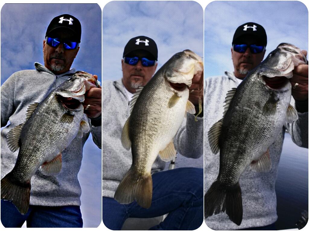RdRickdenton55's tweet photo. Yesterday's catch #bassfishing #bigbass #tournamentfishing #bass #flw #bigfish #powerpole #texasfishing #saltlife http://t.co/RaeTtkVaOs