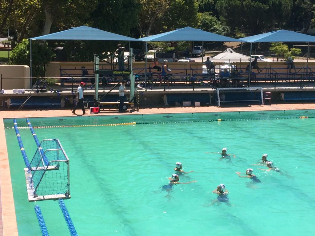 Monkey Tower tweet media