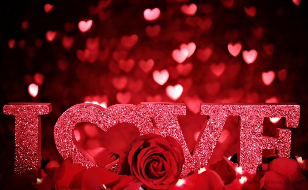 Preeti_Saha's tweet photo. @shahidkapoor Happy Rose Day My Sweetheart Shahid :* http://t.co/F3HGX1oATu