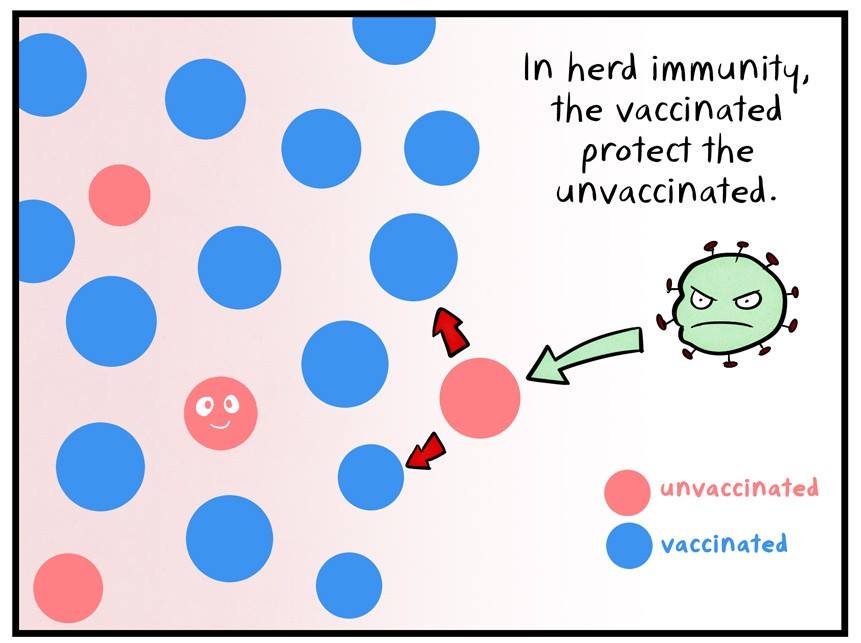 cullin's tweet image. #BasicWisdom