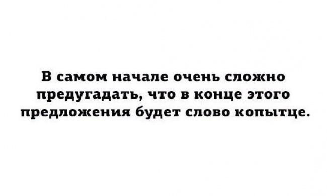 pplogru's tweet image. Минутка юмора