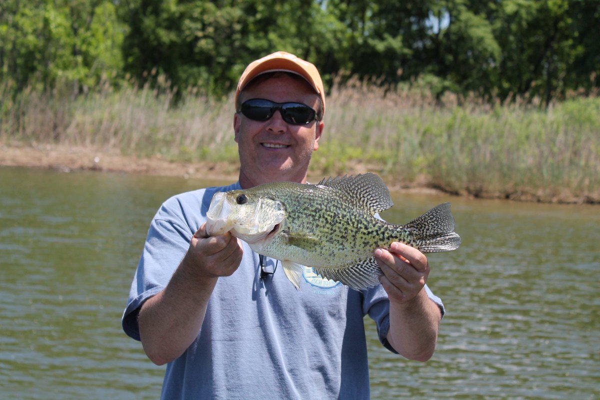bruce62binx's tweet photo. @crappie #Crappie @Showyourfish http://t.co/4idnfJXzD7