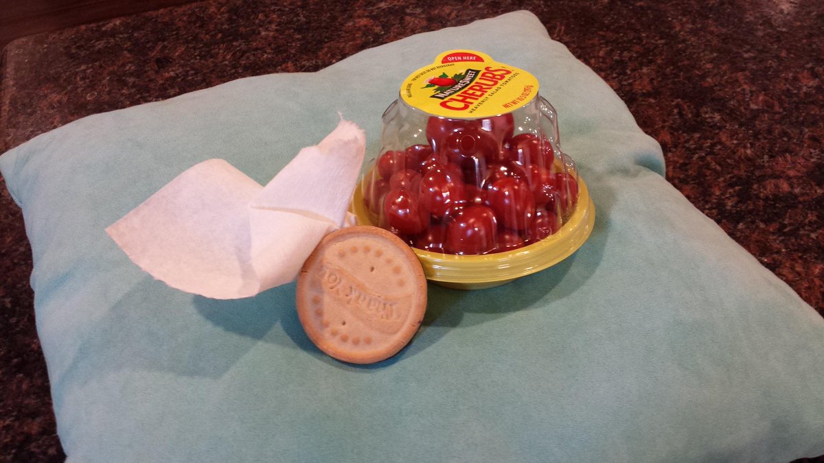 BrandiVirden's tweet photo. Brain break: Cookie and Tomatoes resting under a tree (napkin) on their picnic blanket (pillow). #connectivity2015 http://t.co/twFXtM1xGr