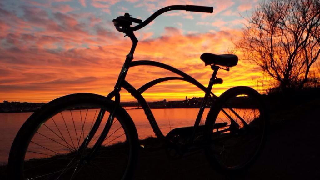 samrmaddock's tweet image. Pleasant ride from @BarcaArtCafe_ Tynemouth to @Lowlightstavern on the Fish Quay