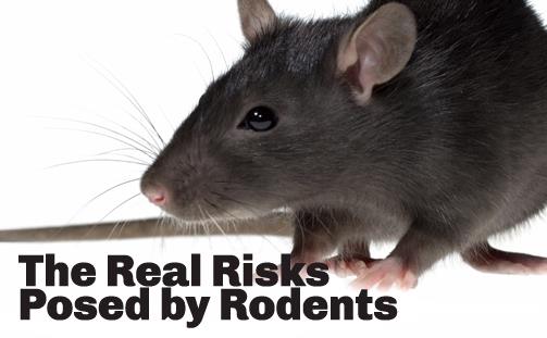 upestindia's tweet photo. Unique Pest Management - The Hero against the pest.. http://t.co/plu8ccivYI