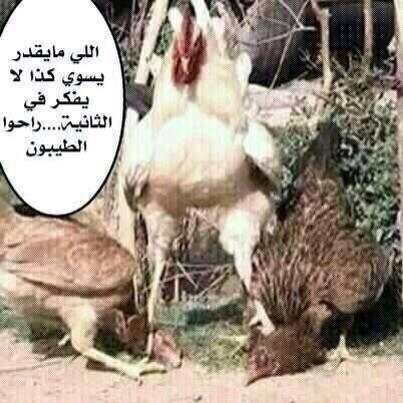 MotazMsz's tweet photo. اللي حابب يتزوج اثنين لازم يكون كدا http://t.co/1Cd9pqrmLy