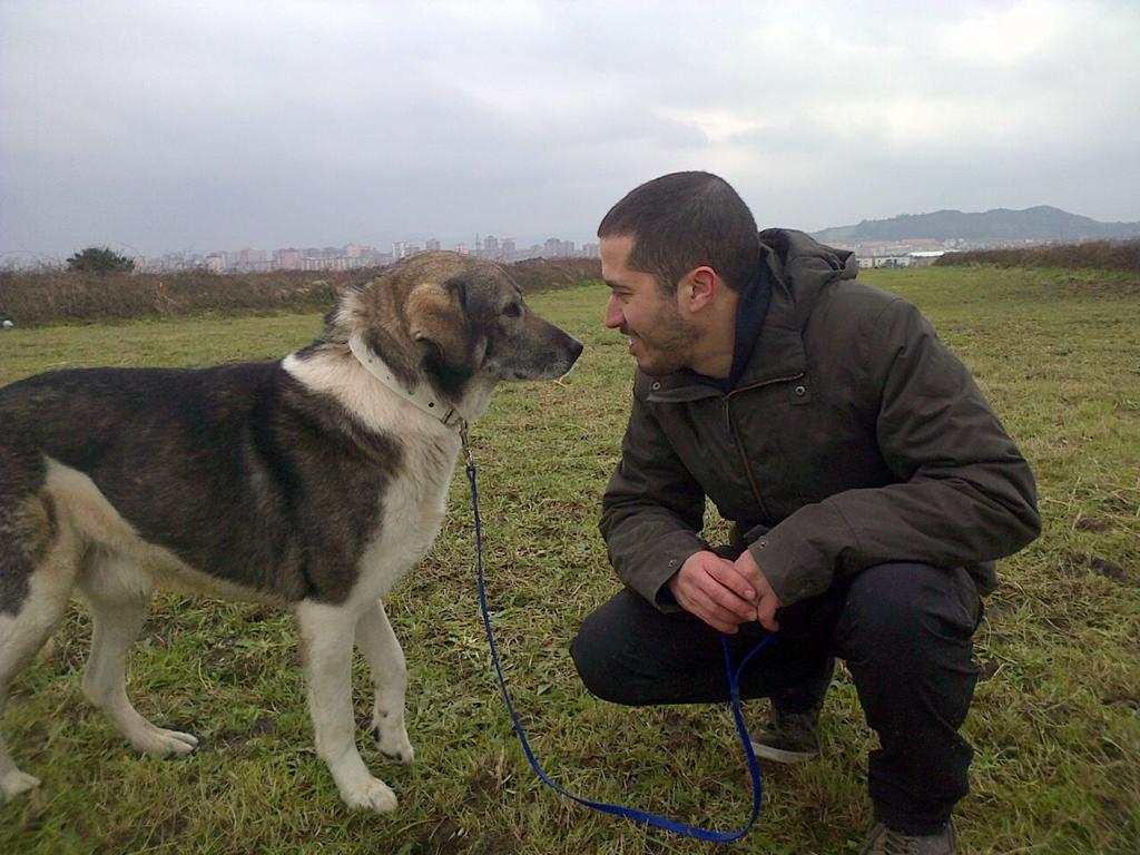 DiegoVillalon_'s tweet photo. Os presento a Roke, el perruco que he apadrinado. Muy miedoso por la vida que le han debido dar. Un gran colega! http://t.co/OKBemtSt8y