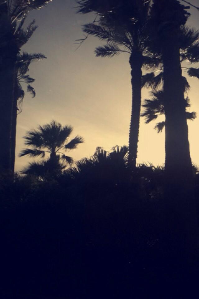 KobieAllen's tweet photo. Hey everyone go follow me on Instagram! @kobieallen 🌴🌊✌️ http://t.co/xJPwf0HMOB