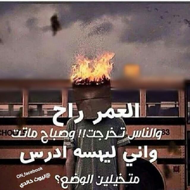 #الدراسة_لادين_لها