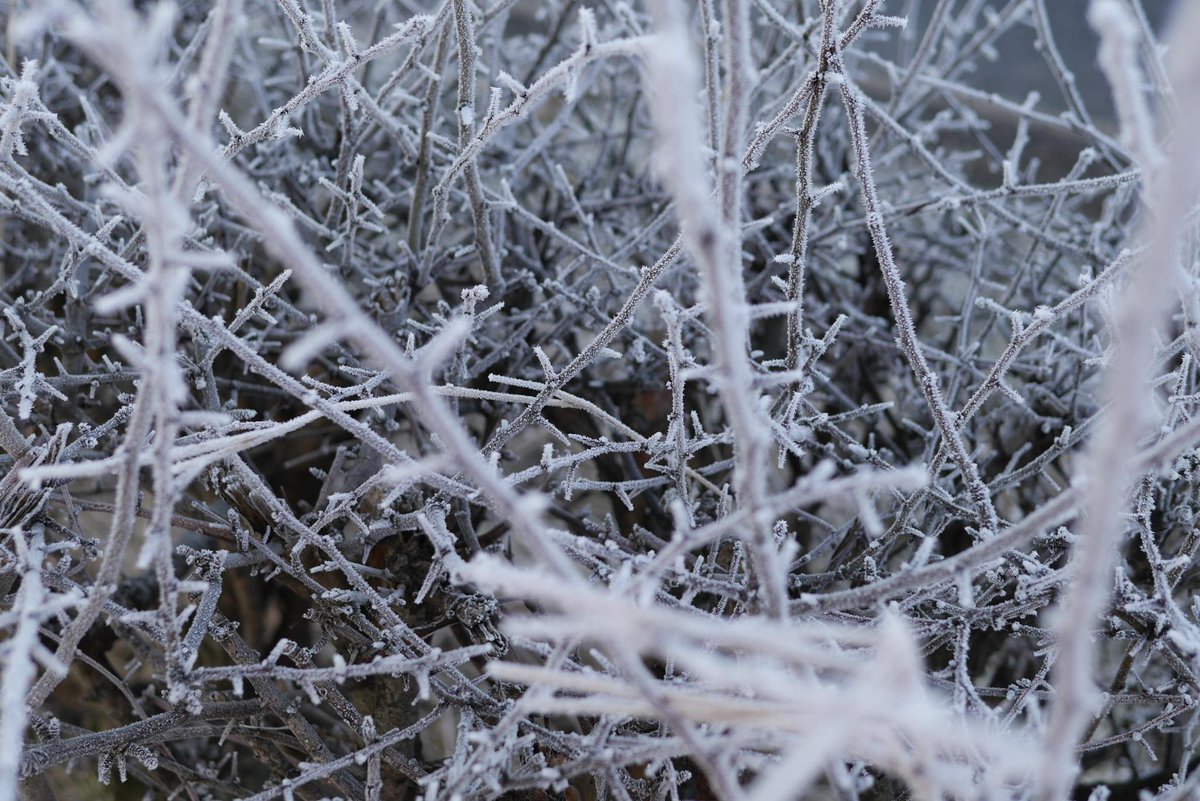 Timothy_Hay_UK's tweet photo. Woke up to a winter wonderland on the farm today. :) http://t.co/beAaFETlR3