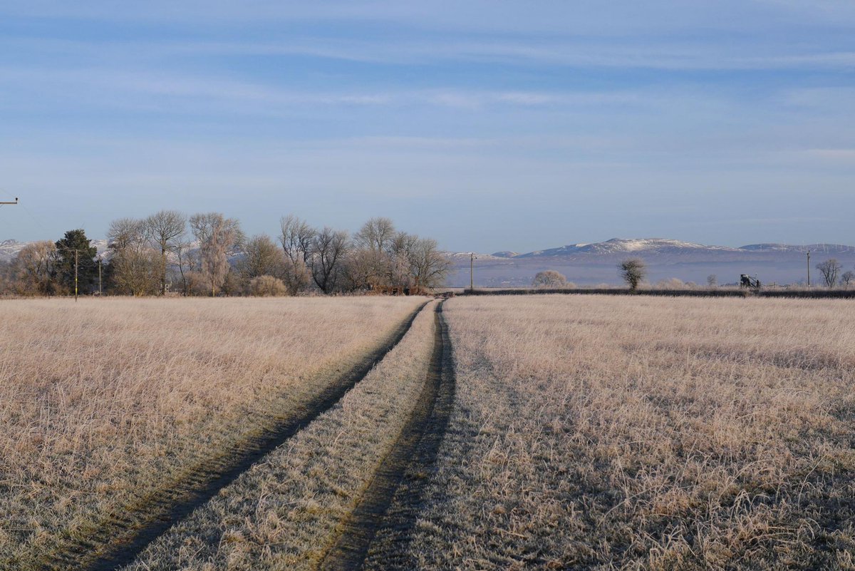 Timothy_Hay_UK's tweet photo. Woke up to a winter wonderland on the farm today. :) http://t.co/beAaFETlR3