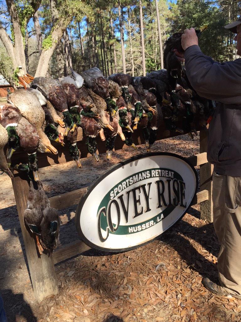 Zach_Bell51's tweet photo. That's a fact jack! #60down http://t.co/Ed6LJWhOHV