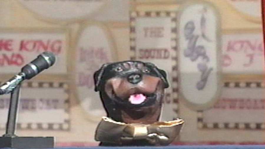 Happy Birthday, Robert Smigel, aka Triumph, the Insult Comic Dog! 