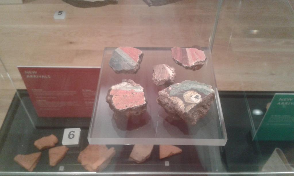 adgros's tweet image. #artaroundtown new exhibition at a Taunton Museum of the archeology dug up at new Hinckley C site.