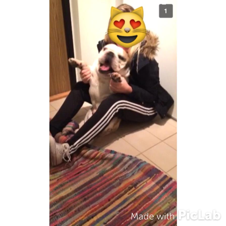 JSeglo's tweet image. I edited this pic with PicLab @piclabapp #piclab