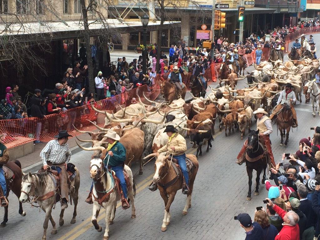cnyednp's tweet photo. Cattle do not eat their young, but were a fun distraction from #nlncare @nurs664 #vcuole http://t.co/JlSwHWKx2n