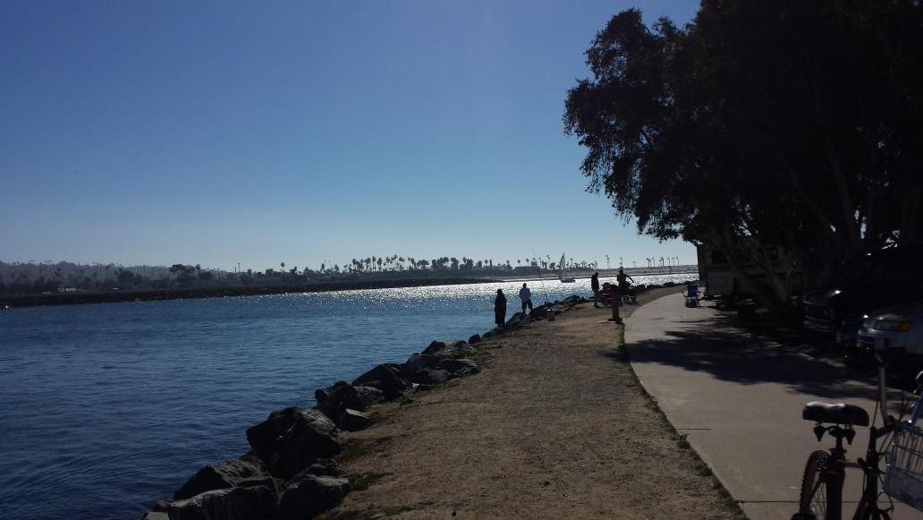 Debbie_Conant2's tweet photo. Just another reason to move to San Diego.  It's only February and the weather is perfect.  #BikeRiding, # Mission Bay http://t.co/P6JBs9tsCU