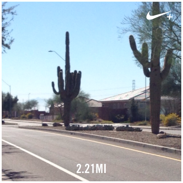 #winterinthedesert #2015 #moremiles @mypeakchallenge I just ran 2.21 mi with Nike+. go.nike.com/6irq9r1 #nikeplus