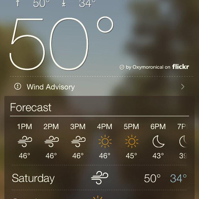 sydney_rk's tweet image. The weather is too unusual and too windy you do productive things today #Rexburg #reallywindy #homework #excuses