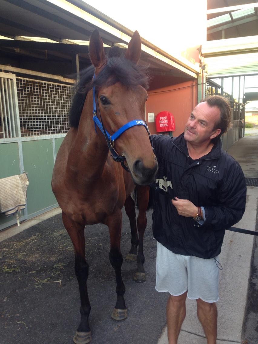 mummify57's tweet image. #ivanhowe#thebigfella@Globalgallop