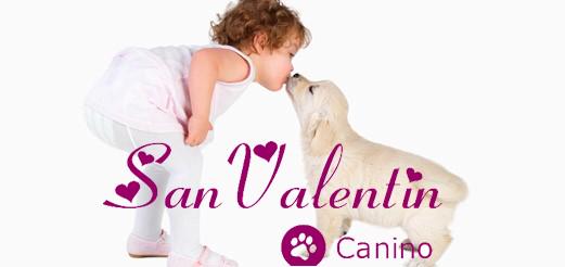 nutrimascotes's tweet image. Tienda OnLine aquariumterramar.com 15%Dto. Cupón CANIMORADOS #picart #selectmenu #bayer #telediario #lasexta