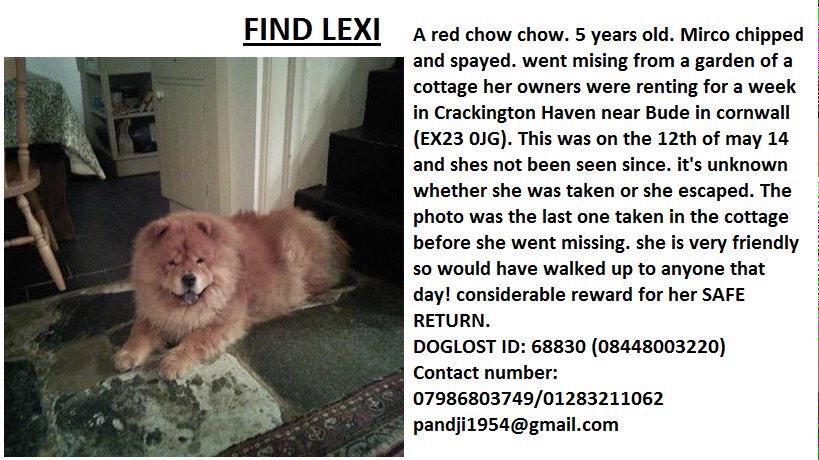 Find Lexi! tweet media